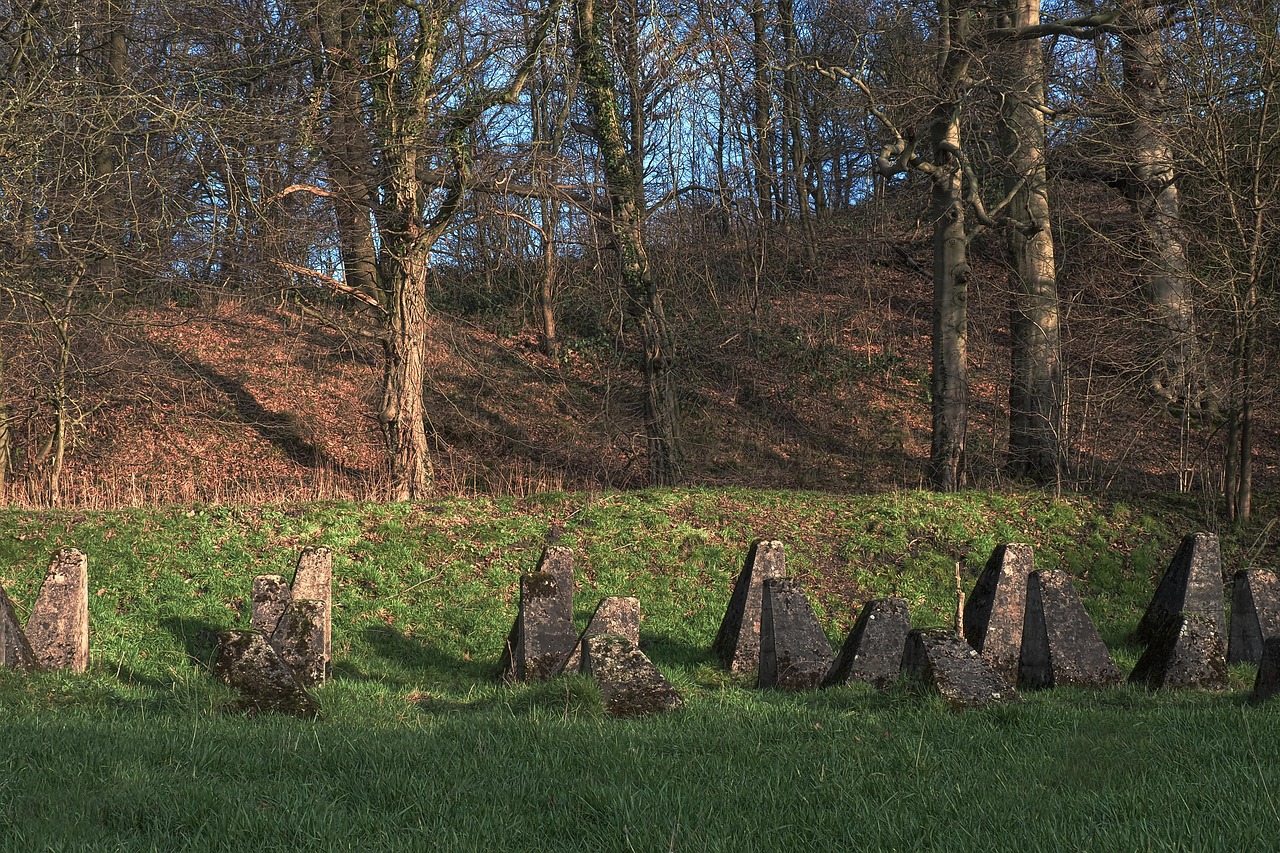 顺益详情下载教程app