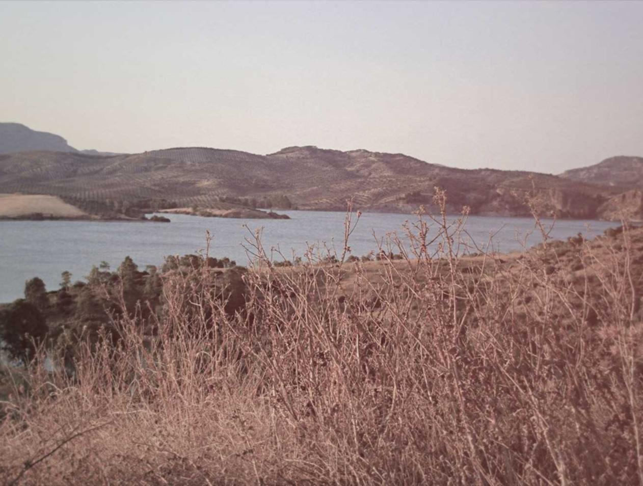 详情下载教程app简短的验证