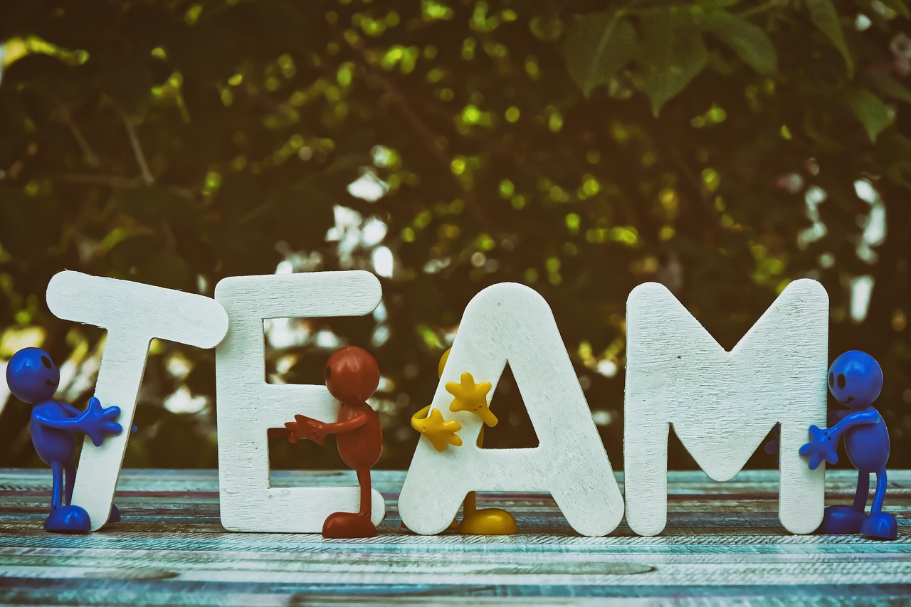 铁塔猫糖果双爆珠（细）：卡盟社区app详情下载教程