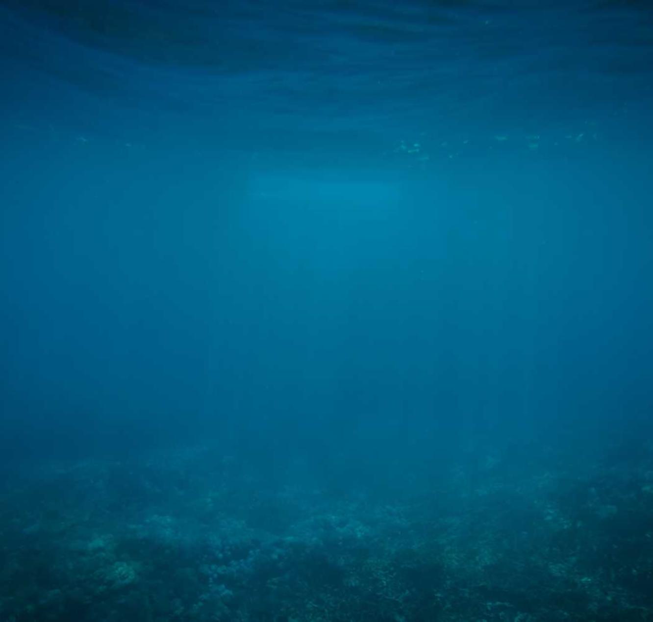 电子烟在阳光下的真相