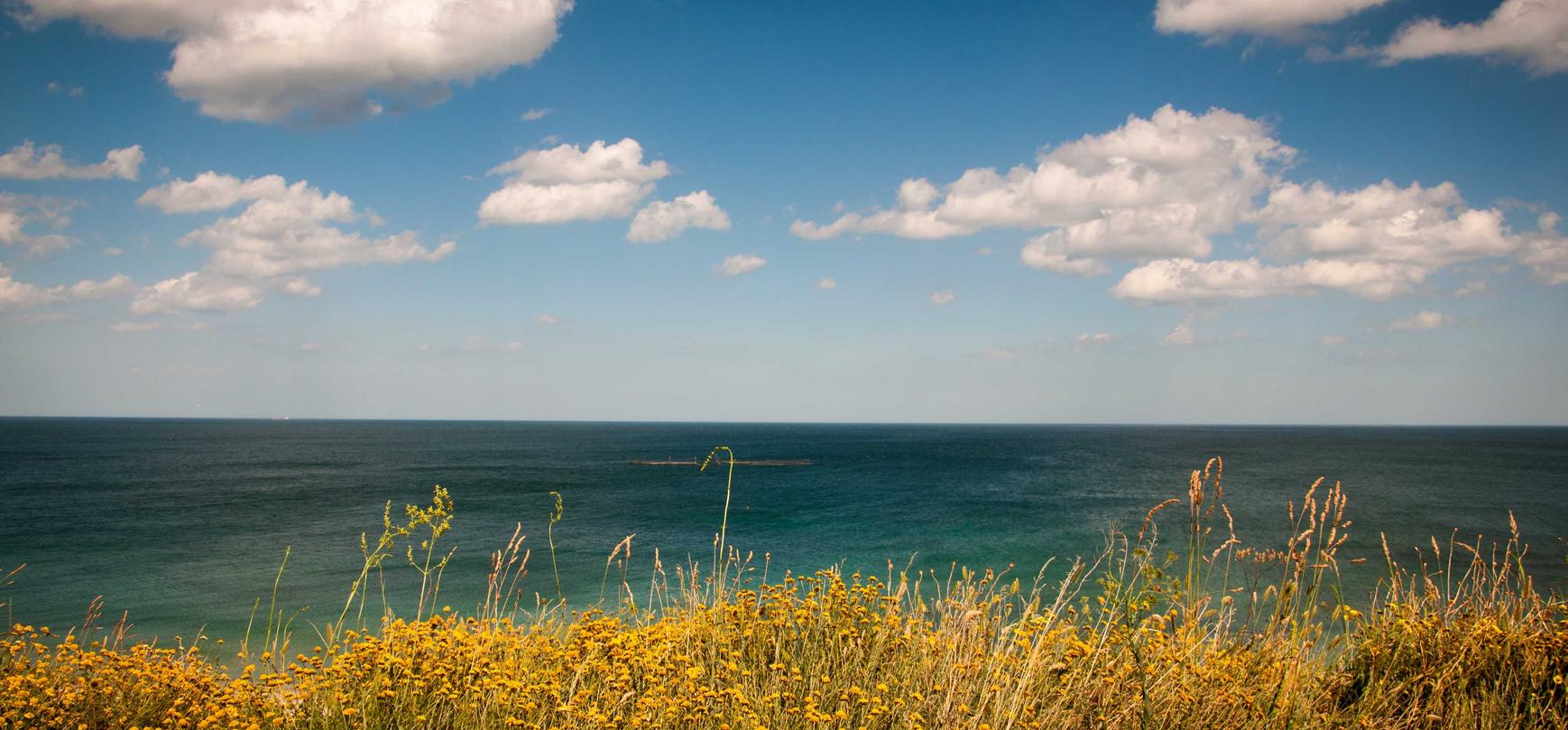 Mond梦都薄荷双爆珠：乐乐词 app详情下载教程