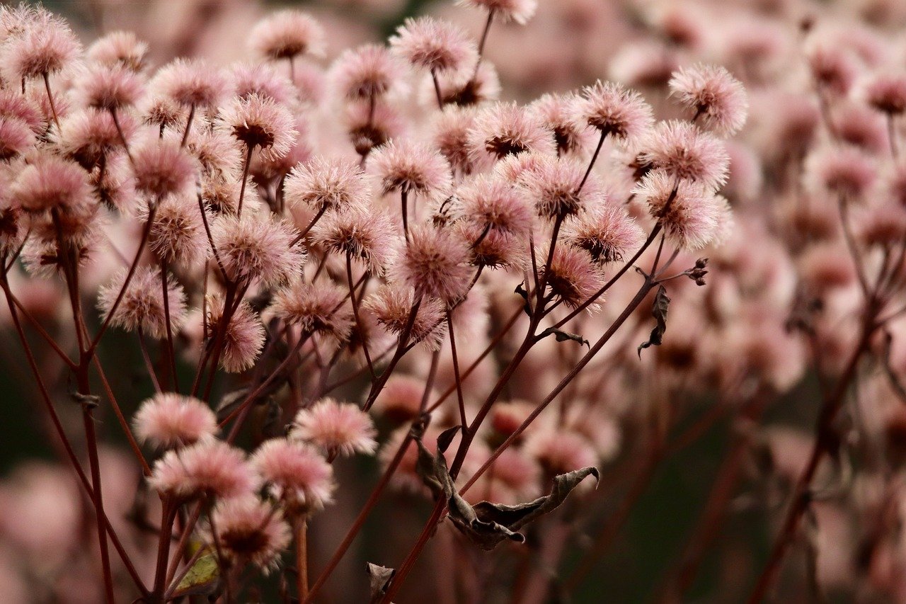 极光实名账号:瓯北单位会计代理平台